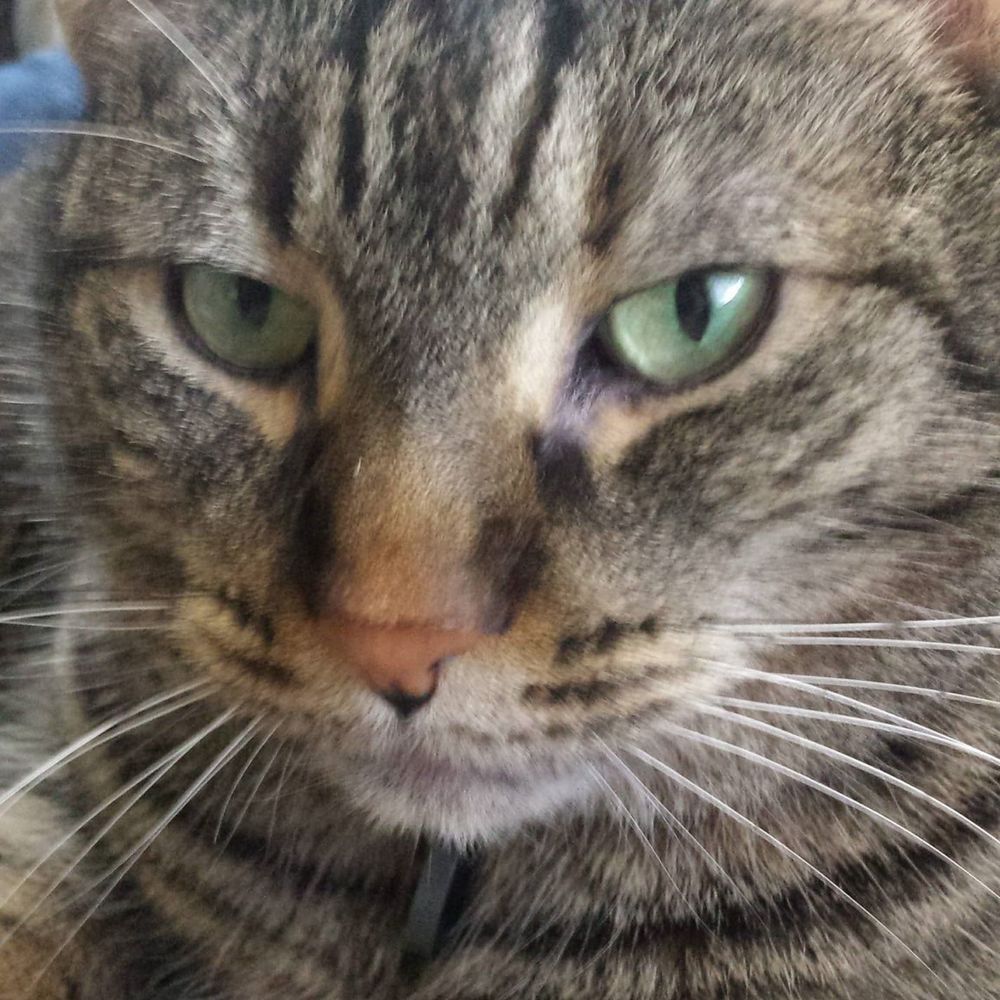 Meet your Posher, Diane